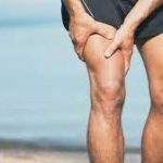 Febra Musculara: O Analiză Detaliata